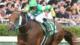 ライオンボスが競走馬登録抹消