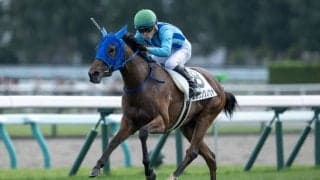 【新馬/札幌5R】カリフォルニアクローム産駒 スプリングノヴァがデビューV