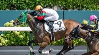 札幌6R制したダラムキャッスルが鼻出血発症 2日の出来事一覧/札幌・新潟・小倉