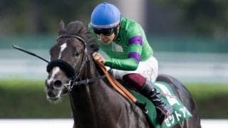 【札幌2歳S】横山武「想像以上に強かった」セットアップが鮮やかに逃げ切る