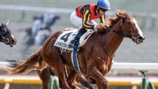 【今日の注目ポイント】ローカル3場開催の最終日 JRA重賞は新潟記念と小倉2歳S