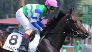 【日曜小倉7R予想】前走は直線躓き7着 今度こそ本領発揮だ