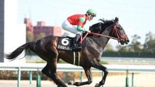 【新潟記念予想】過去10年で6番人気以下が5勝 波乱含みのサマー2000シリーズ最終戦