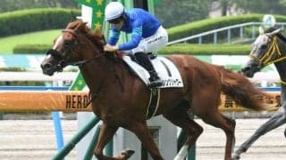 【小倉2歳S予想】前走1200m組が過去10年で9勝 距離経験が一番のカギ