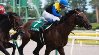 【新潟記念予想】得意の新潟芝2000m 古豪が2年連続の激走なるか