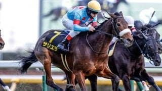 【新潟記念予想】8枠連続好走中のなか不振の枠は!? トップ＆最軽量ハンデ馬は狙えるのか？