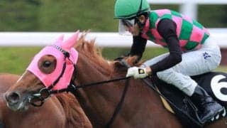 【西日本新聞杯予想】最終週の馬場は大歓迎 ダンツイノーバが突っ込む