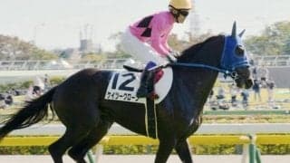 最低人気328.1倍の伏兵が逃げ切りV 今年の単勝最高配当が飛び出る波乱/新潟4R・3歳未勝利