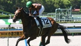 【小倉5R新馬戦結果】1番人気のアナベルエクラが快勝