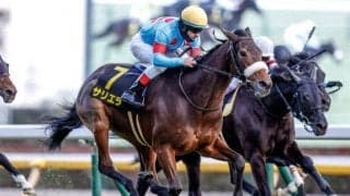 【新潟記念・馬体重】サリエラは428kg(-2)、ノッキングポイントは494kg(+6)