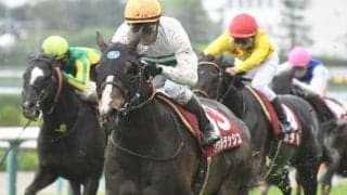 【京成杯AH】ソウルラッシュ、ラインベックらが登録