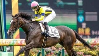 【紫苑S】ヒップホップソウル、グランベルナデットらが登録