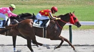 川田将雅騎手が夏の新潟競馬リーディング獲得 戸崎騎手・津村騎手との激しい争い制す