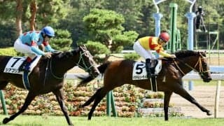 【新馬/新潟6R】イスラボニータ産駒、伏兵イサチルシーサイドがデビューV