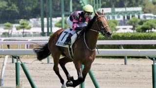 【新馬/新潟5R】アルアイン産駒、テリオスルルが鮮やかに逃げ切る…断然人気コンドライトは2着