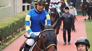 モーニングアヤメが予後不良 左第1指関節脱臼を発症