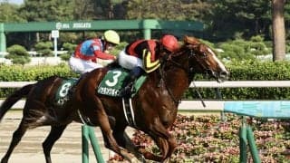 【新潟記念】北村宏「この馬らしい気配」ノッキングポイントが重賞初制覇