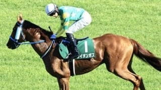 “千直の王”ライオンボスが抹消 今後は川崎競馬に移籍