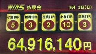 WIN5は6400万円超の大波乱…新潟記念はノッキングポイントがV