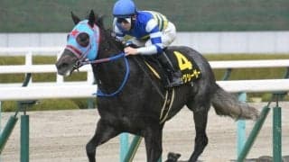 中山・阪神開催がスタート GI前哨戦の紫苑SやセントウルSなど/今週の競馬界の見どころ