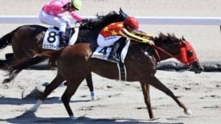 夏の新潟競馬リーディングジョッキーは、川田将雅騎手！