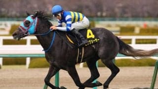 【セントウルS登録馬】ビッグシーザーなど16頭