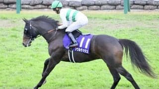 【京成杯AH登録馬】ソウルラッシュなど11頭