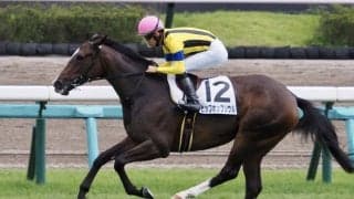 【紫苑S登録馬】ヒップホップソウルなど19頭