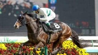 【京成杯AH見どころ】ソウルラッシュが初のGIII出走 1年5か月ぶりの重賞制覇なるか