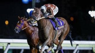 1着賞金3200万円の長距離戦 重賞連勝中のセイカメテオポリスは3枠4番/大井・東京記念枠順