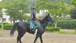 伯父はGI・2勝のグランプリホース 良血馬フォルラニーニが始動/関東馬メイクデビュー情報