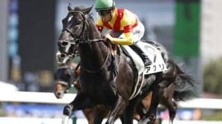 【AI予想・セントウルS】秋の訪れを告げる短距離重賞！ 前走距離と4角での位置取りが好走の鍵