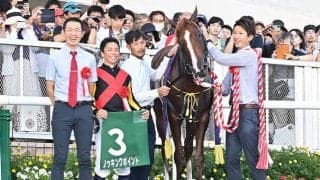 【新潟記念】売上は67億5575万4300円で昨年より約1.5億円減少