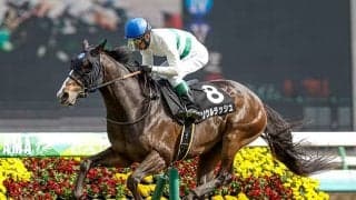 【京成杯AH想定騎手】ソウルラッシュは松山弘平騎手、インダストリアはC.ルメール騎手