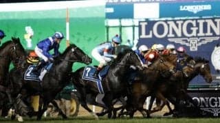 1〜4着＆8着馬がのちにGIを勝利 今年のドバイSCは超ハイレベルだった!?