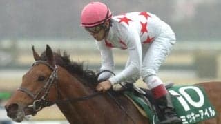 雨が降りやすい秋競馬 芝・ダート問わず悪い馬場状態を苦にしない種牡馬とは？