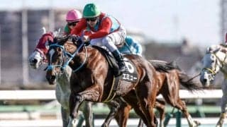 【紫苑S展望】活躍馬続出の秋華賞トライアル、より短い距離の実績に注目