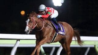 短距離重賞3勝のジャスティンが転入初戦 6枠10番から久々の勝利へ/大井・アフター5スター賞枠順
