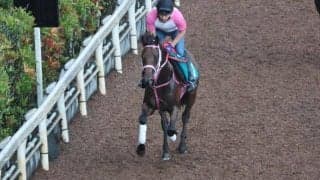 モズイージスなど、先週の入厩情報/栗東トレセンニュース