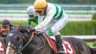 トップハンデ59kgを跳ね返す 現役屈指のマイラーが京成杯AHに参戦