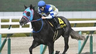 【セントウルS予想オッズ】ビッグシーザーが予想1番人気