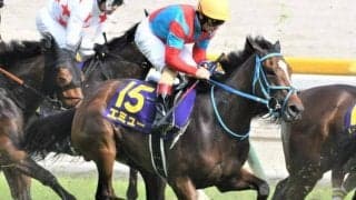 メンバー中唯一の重賞馬  紫苑Sで大舞台へ弾みつく走りなるか
