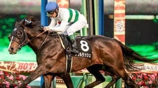 【京成杯AH予想オッズ】ソウルラッシュが予想1番人気