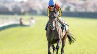 3戦3勝の絶好舞台で巻き返す 京成杯AHで重賞2勝目だ