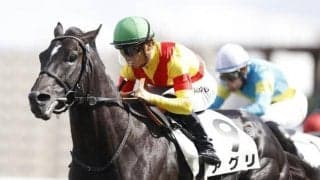 【セントウルS展望】スプリンターズSの前哨戦、人気どころが順当に好走する傾向