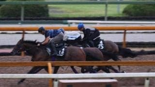 シャザーン、セントライト記念1週前追い切り速報/栗東トレセンニュース