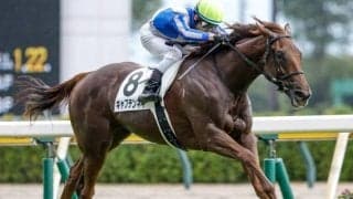 キャプテンネキはりんどう賞へ 馬名の意味は「母名の一部+姉貴より」