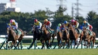 GII昇格の条件とは？ 今年から格上げの紫苑Sを例に解説