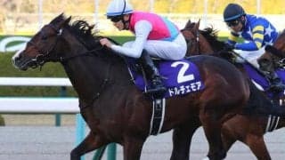 2歳マイル王が初スプリント戦  セントウルSで待望の復活Vなるか