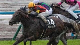 父エイシンヒカリに初タイトルを届ける エイシンスポッターがセントウルSで重賞初Vだ